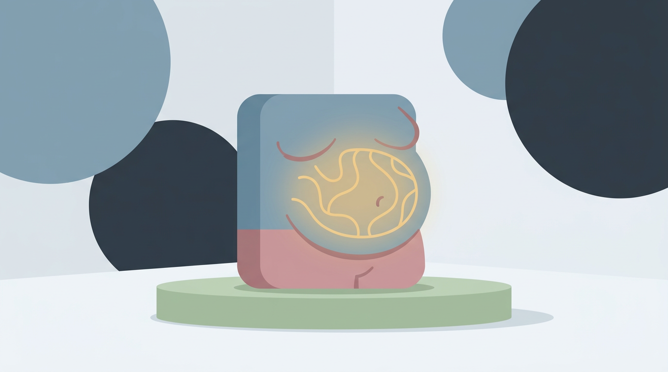 Wat is een cortisol buik en hoe ontstaat buikvet door stress